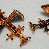 autumndragontwins3
