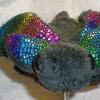 dragonplush1-3