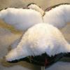 dragonplush3-5