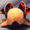 dragonlette1-2