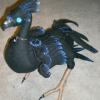 sable11