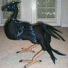 sable3