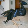 sable4