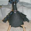 sable5