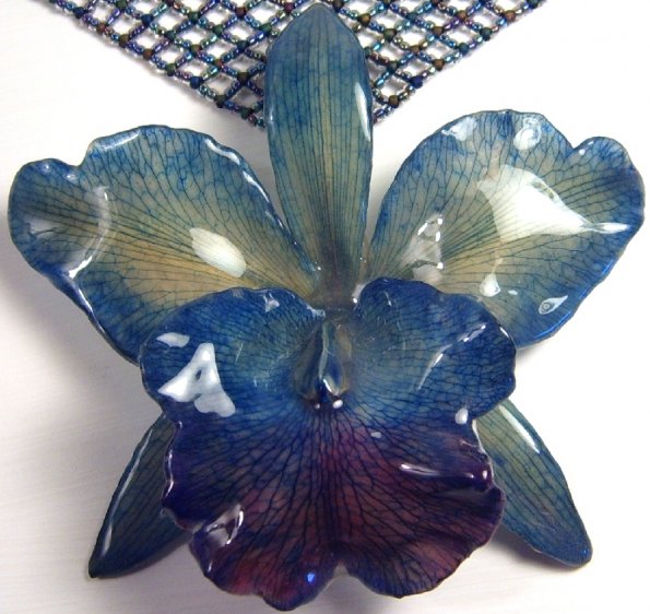 chasingmidnightflowers3