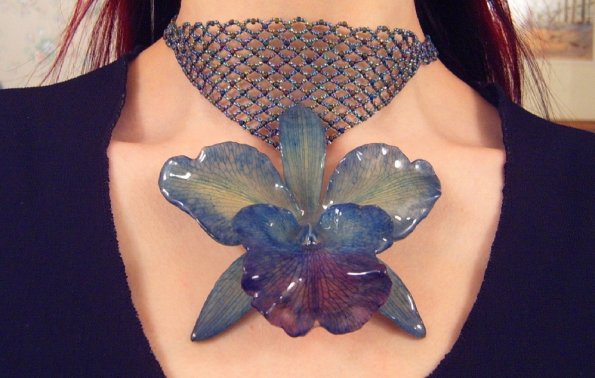 chasingmidnightflowers4