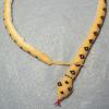 snakelariatcommission1
